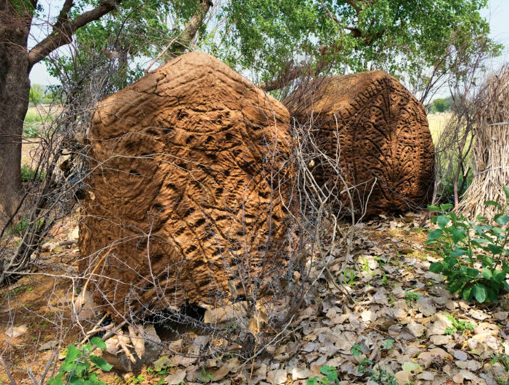 Two Badkulas with linear surface designs on them, under a tree in the countryside