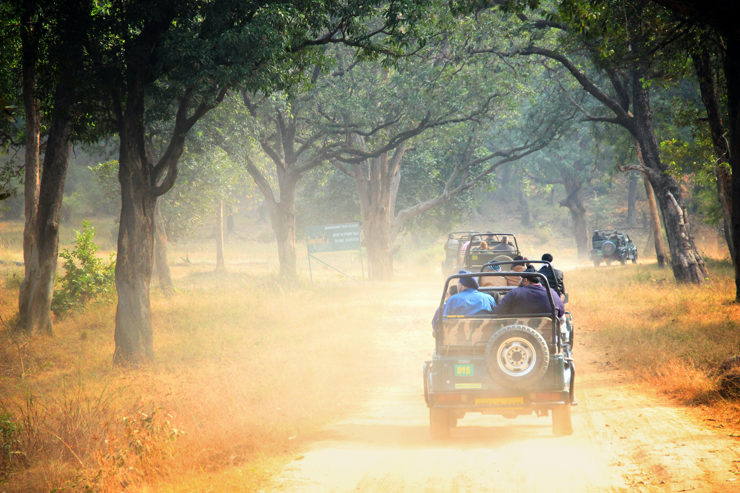 People in jeeps on a dirt road inside the park