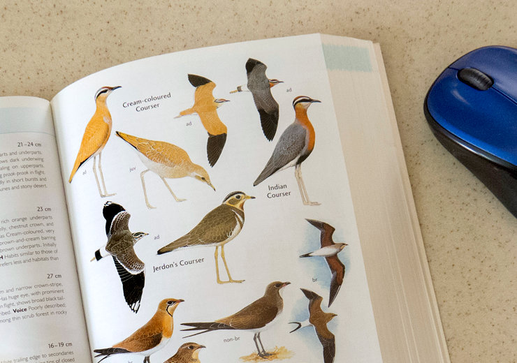 An open book revealing illustrations of several bird species