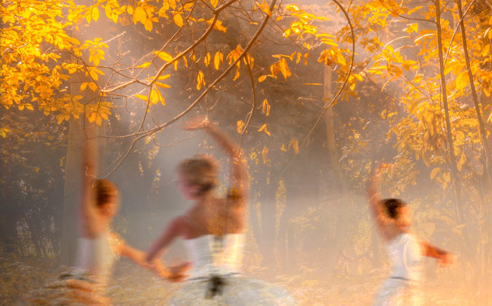 Women dancing in the midst of trees, with sunlight filtering in through the foliage above