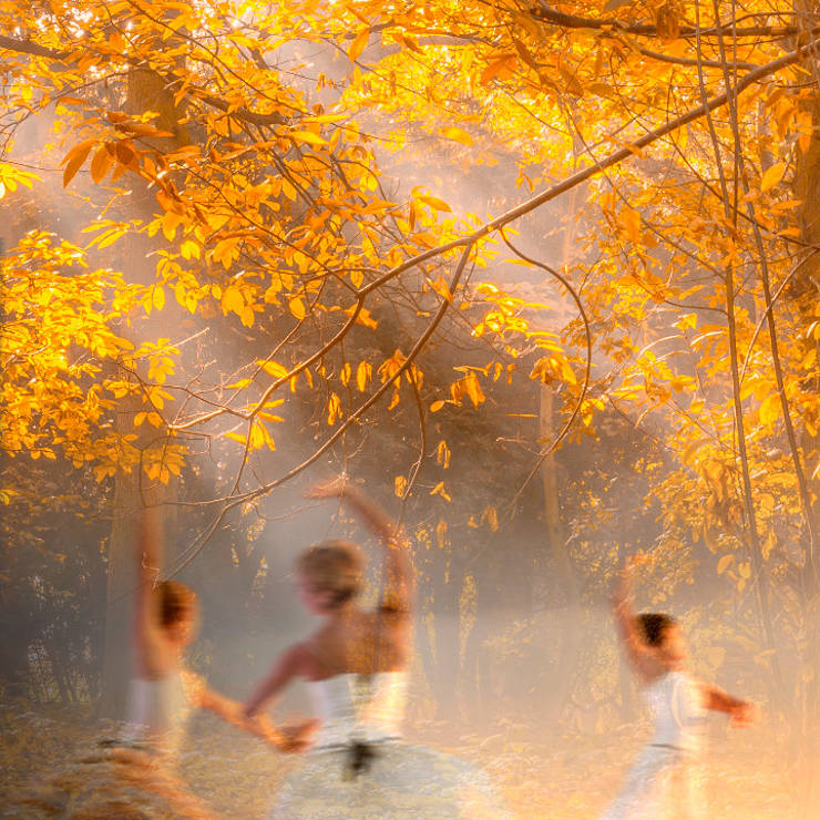 Women dancing amidst trees and sunlight filtering through foliage above, in predominant red colour