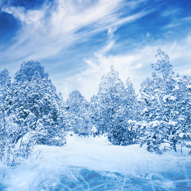 Windy clouds over snow covered trees around a cracking, icy path, in predominant blue colour