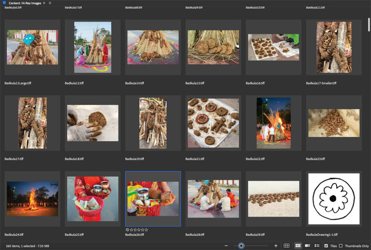 Application screen shot showing thumbnails of photographs in a grid