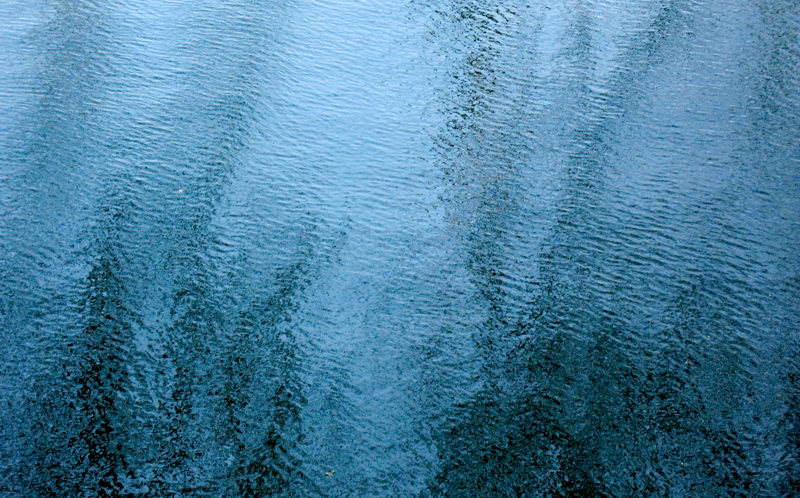 Abstract, fine art photograph of reflection of trees and the blue sky on the surface of water
