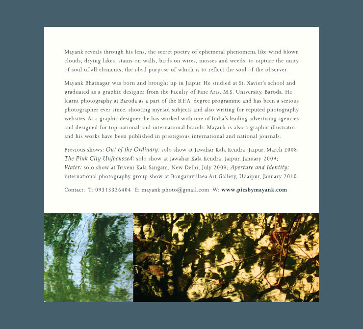 Text about the artist on white background and below it crops of two abstract photographs