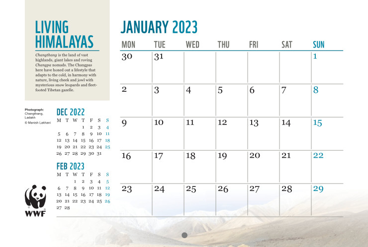 January page layout of the calendar (bottom portion)