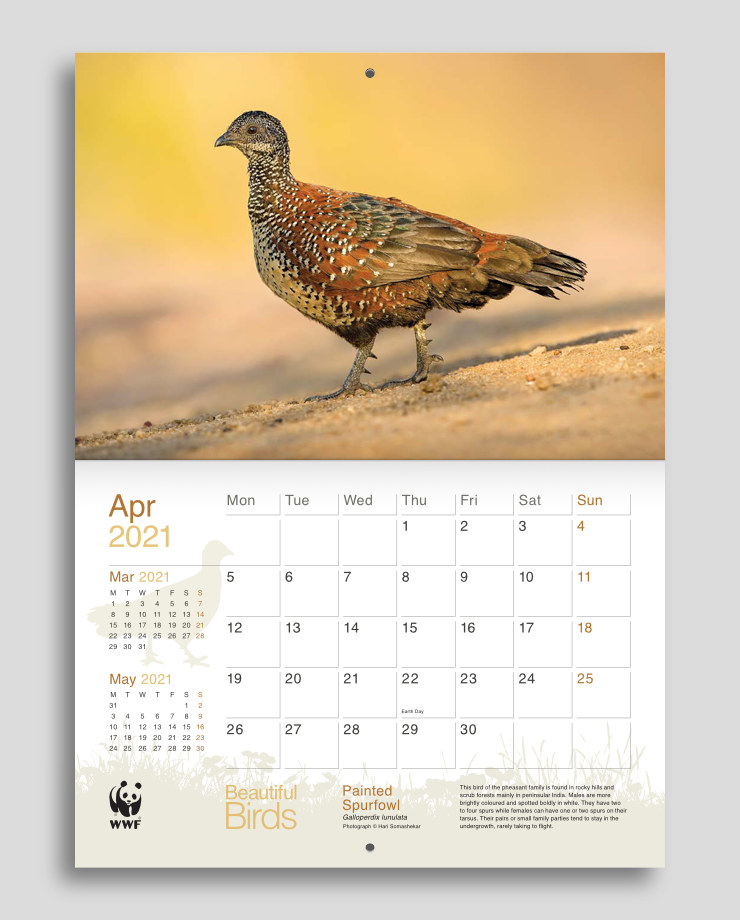 Calendar layout with a bird image in yellow and brown colours and brown colour scheme in the planner section below