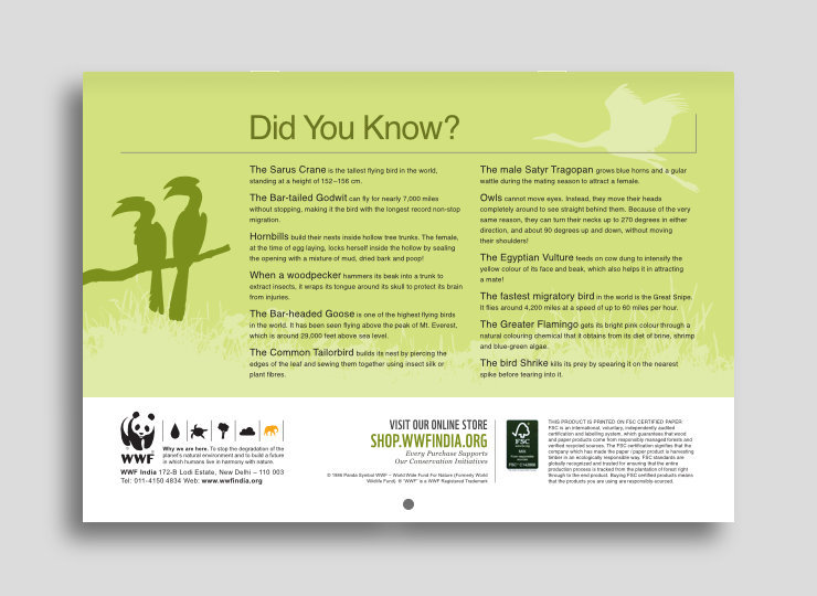 Page layout with predominant light green background colour, featuring interesting facts about birds