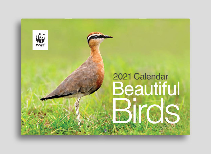 Cover design featuring WWF logo, image of an Indian Courser and calendar name