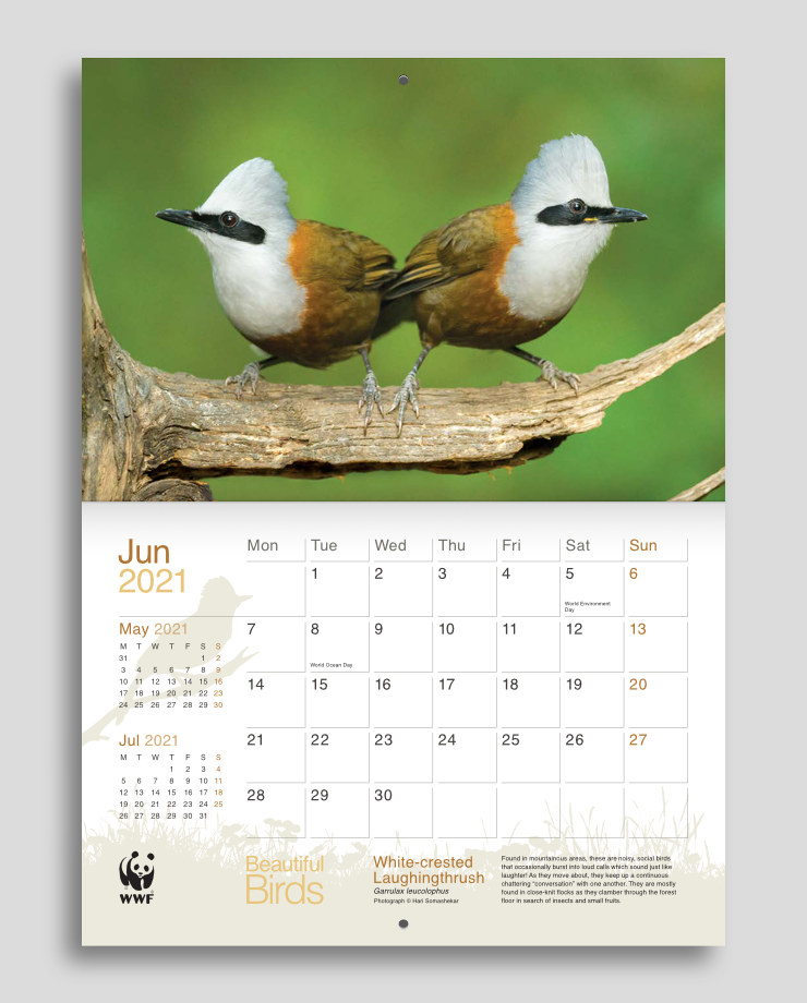 Layout with photograph of a pair of brownish birds and brown colour scheme in the planner section below