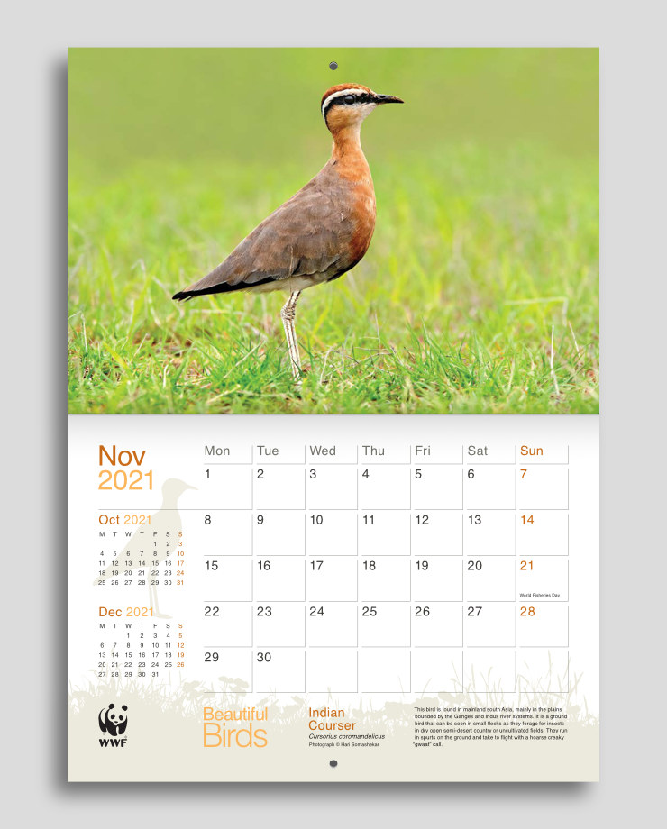 Calendar layout with an orange-brown bird image and orange colour scheme in the planner section below