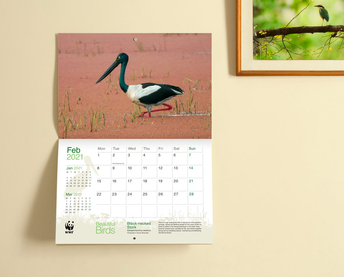 Calendar hanging on a wall, adjacent to a framed photograph of a bird