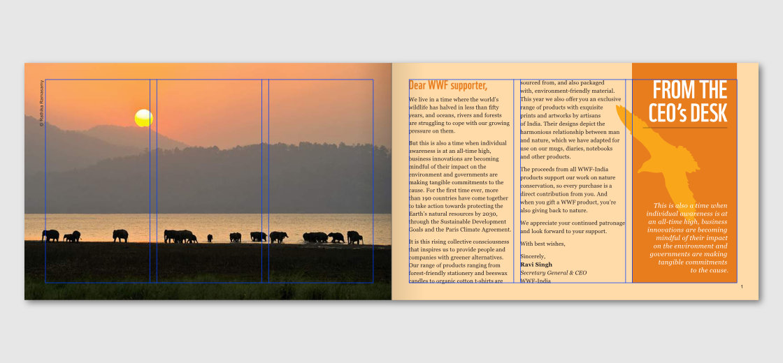 A 3 column grid overlayed on intro spread layout featuring an image of elephants and CEO's message