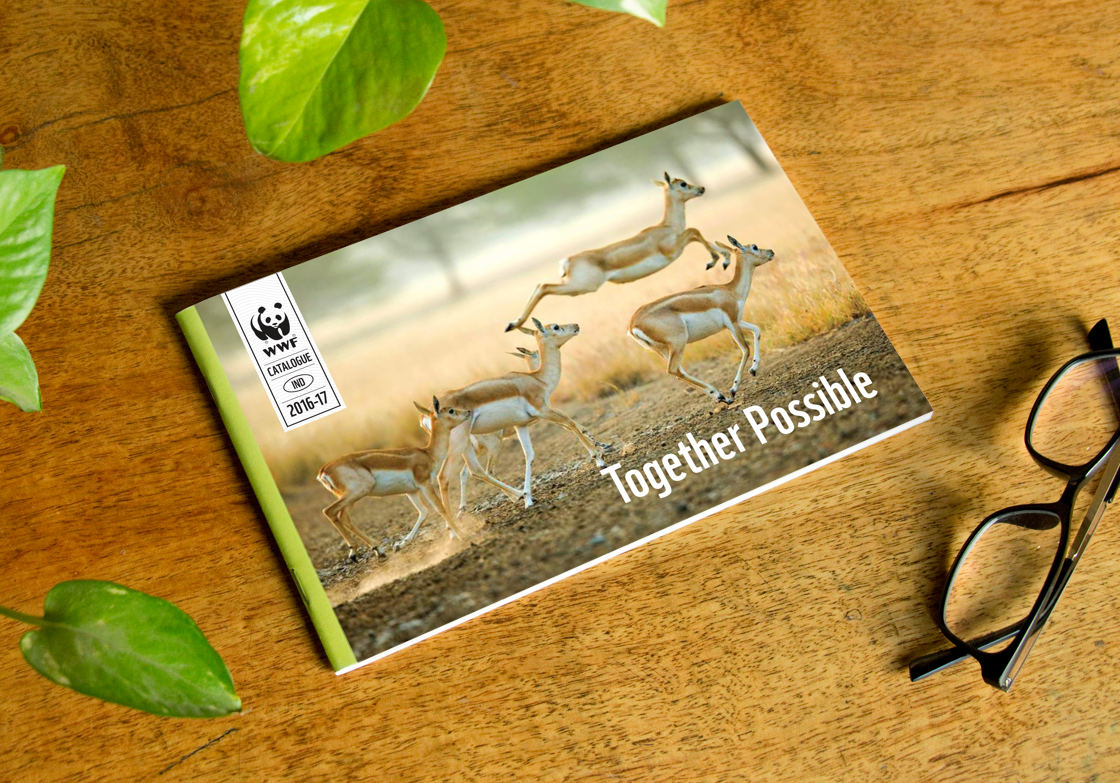 WWF-India catalogue, folded, on a wooden table, revealing the cover page