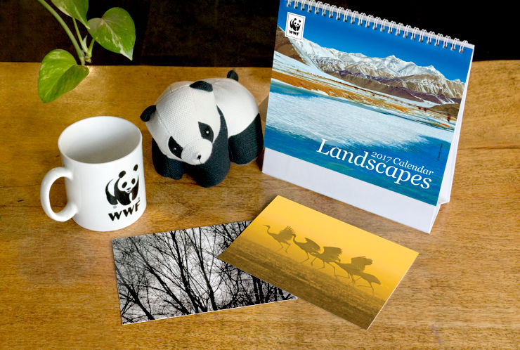 A mug, Panda soft toy, Himalayas desk calendar and two nature themed greeting cards