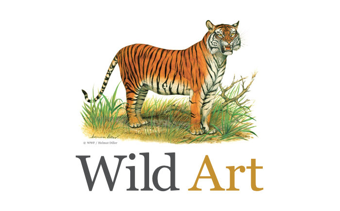 Illustration of a Bengal Tiger along with the typography 'Wild Art'