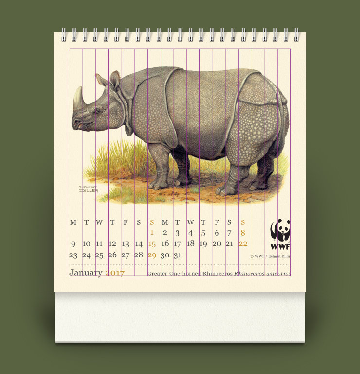 Grid, within an outer margin, overlaid on a calendar page featuring Greater One-horned Rhinoceros