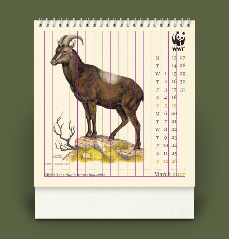 Grid overlaid on a calendar page design featuring Nilgiri Tahr