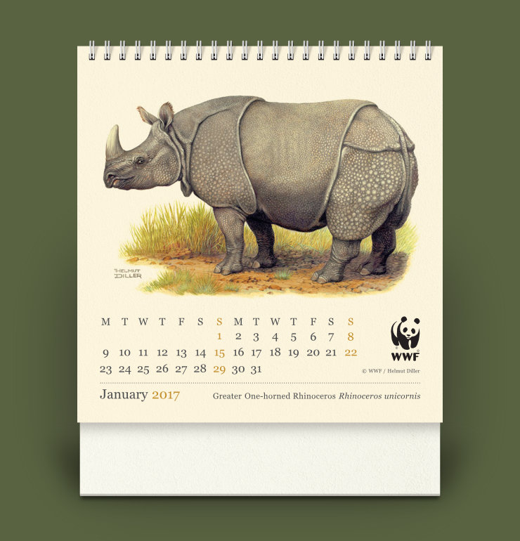 Illustration of a Rhinoceros and below it: dates, WWF logo, month name, year and species name