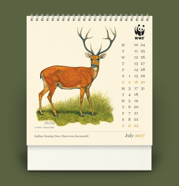 July page layout featuring an Indian Swamp Deer standing on grass, and all text in Georgia font