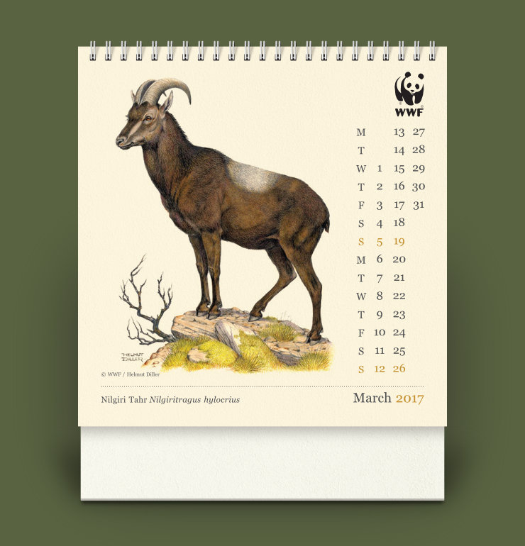 Nilgiri Tahr image and to its right: dates and WWF logo; at the bottom: month, year and species name