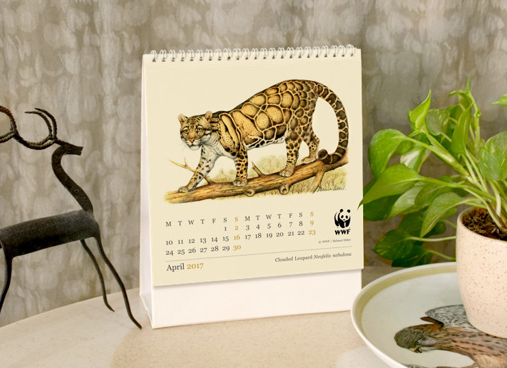 The calendar kept on a desk, showing April 2017 page featuring a Clouded Leopard