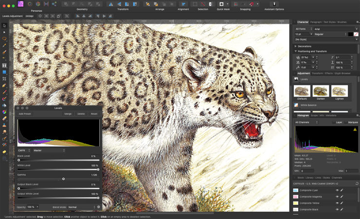 Image of a Snow Leopard in a software user interace with several editing panels open