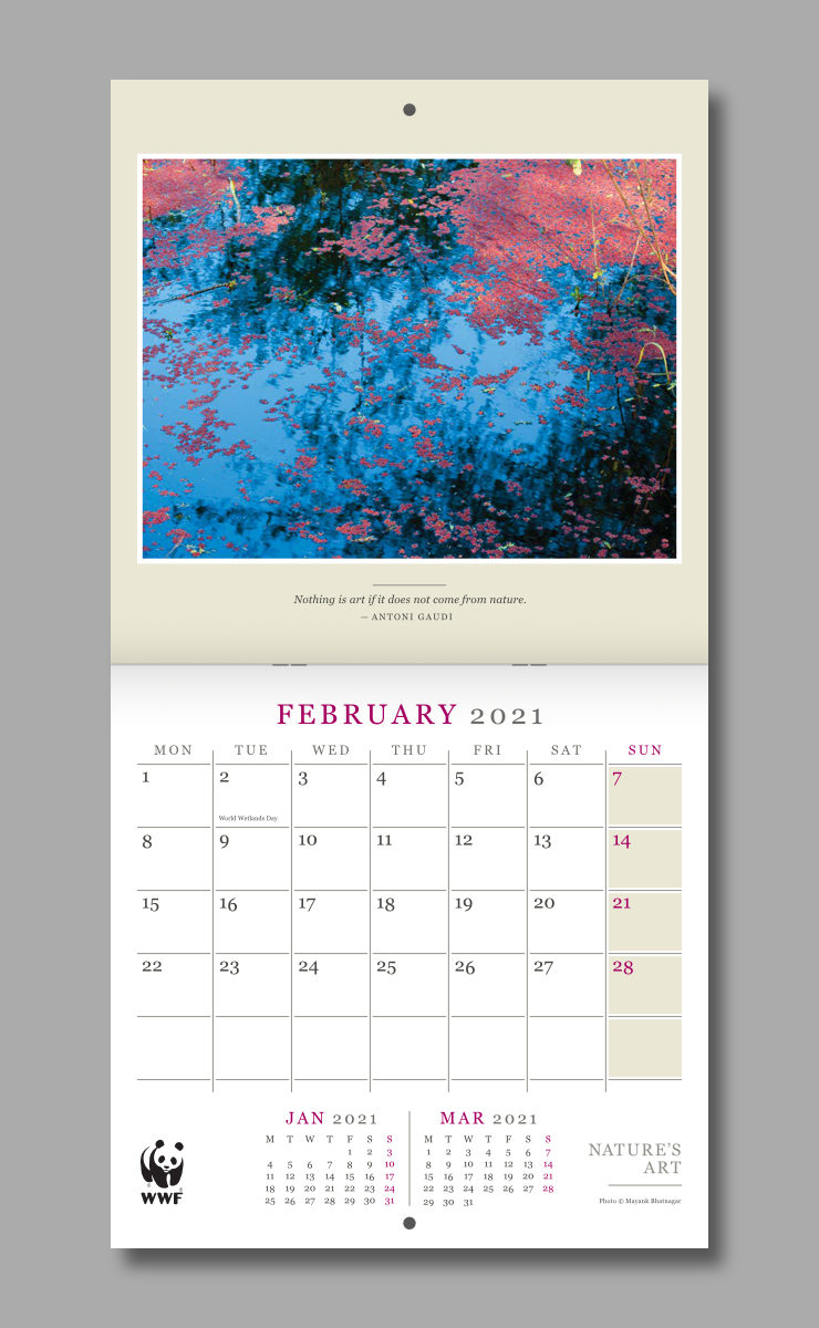 Layout of February spread of the calendar featuring an image of pink algae floating on water