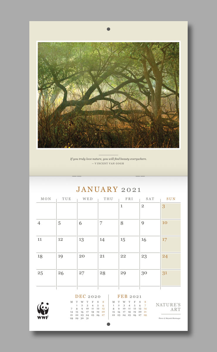 January pages of the open calendar featuring a photograph of intermingling trees