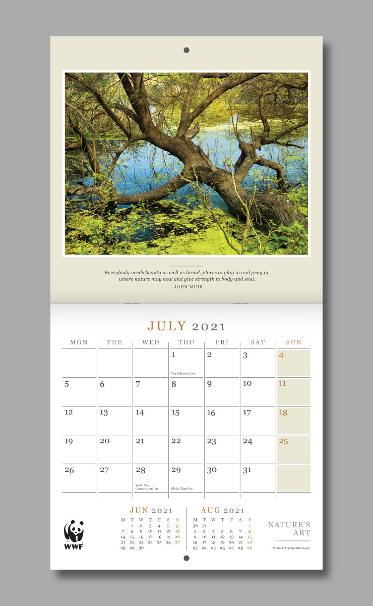 Layout of July spread of the calendar featuring a photograph of a tree partly submerged in a wetland