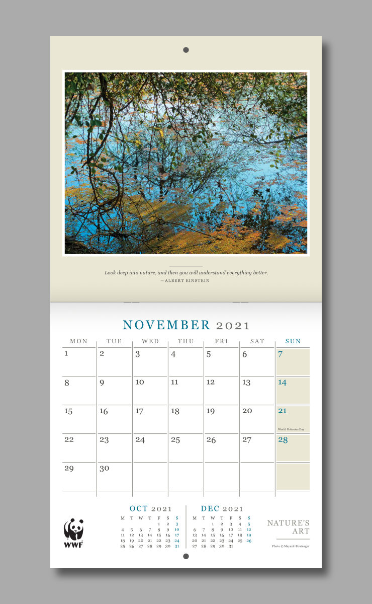 Layout of February spread of the calendar featuring a bluish photograph of floating algae and reflection of a tree on water