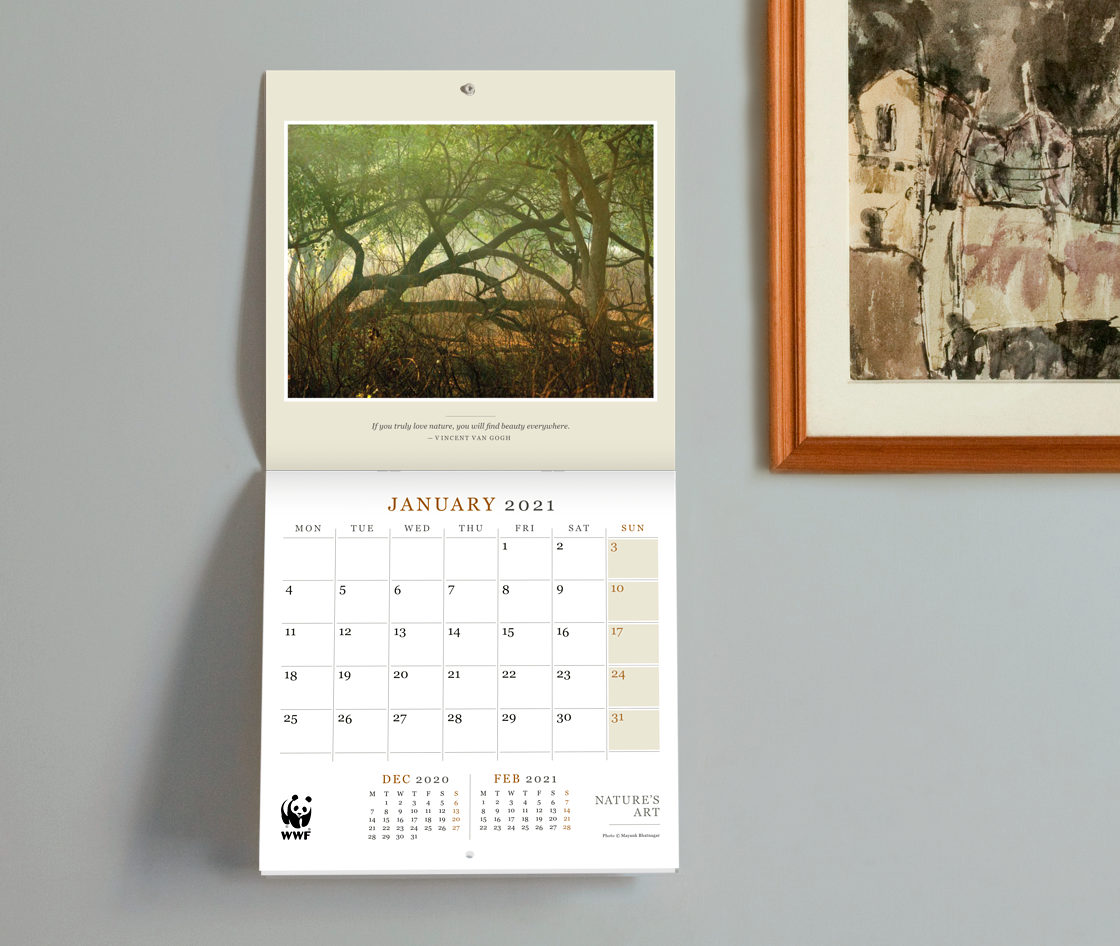 Calendar hanging on a wall next to a framed painting